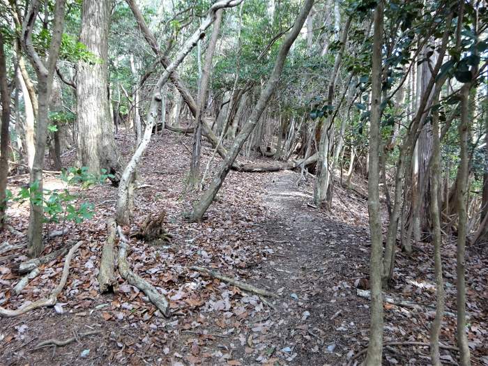 兵庫県丹波篠山市火打岩/小金ヶ嶽と岩門を散策