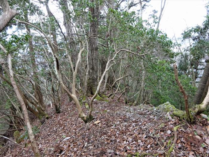 兵庫県丹波篠山市火打岩/小金ヶ嶽と岩門を散策