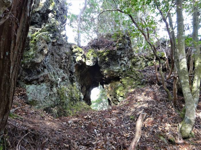 兵庫県丹波篠山市火打岩/小金ヶ嶽と岩門を散策