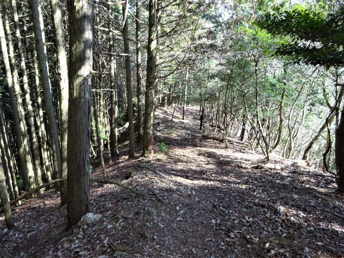 兵庫県丹波篠山市火打岩/小金ヶ嶽と岩門を散策