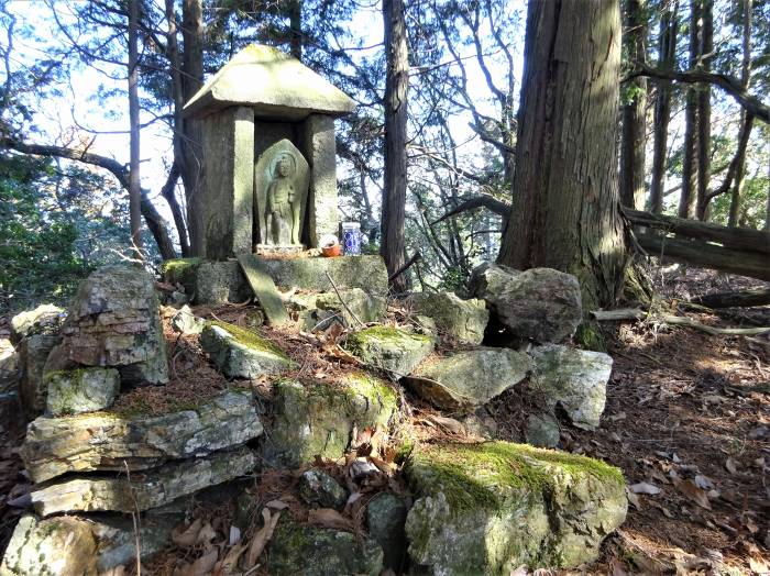 兵庫県丹波篠山市小坂/夏栗山･黒頭峰･三尾山を散策