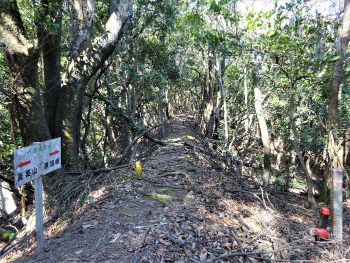 兵庫県丹波篠山市小坂/夏栗山･黒頭峰･三尾山を散策