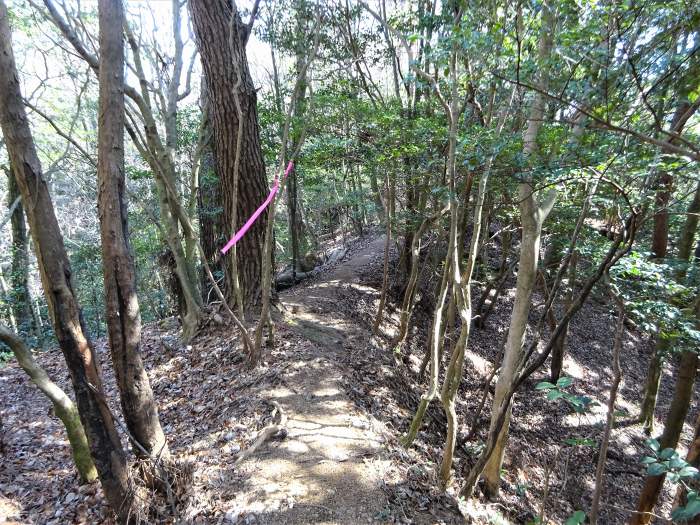 兵庫県丹波篠山市小坂/夏栗山･黒頭峰･三尾山を散策