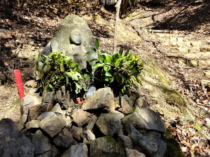 兵庫県丹波篠山市小坂/夏栗山･黒頭峰･三尾山を散策