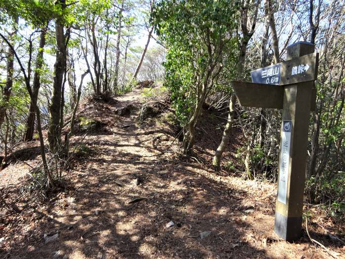 兵庫県丹波篠山市小坂/夏栗山･黒頭峰･三尾山を散策