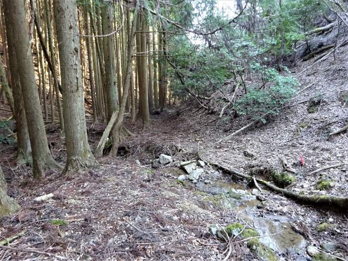 兵庫県丹波篠山市小坂/夏栗山･黒頭峰･三尾山を散策