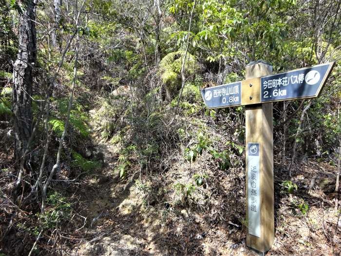 丹波篠山市/西光寺山･洞ヶ山～加東市/加東神山･大峯山を散策