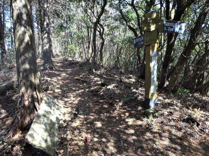 丹波篠山市/西光寺山･洞ヶ山～加東市/加東神山･大峯山を散策