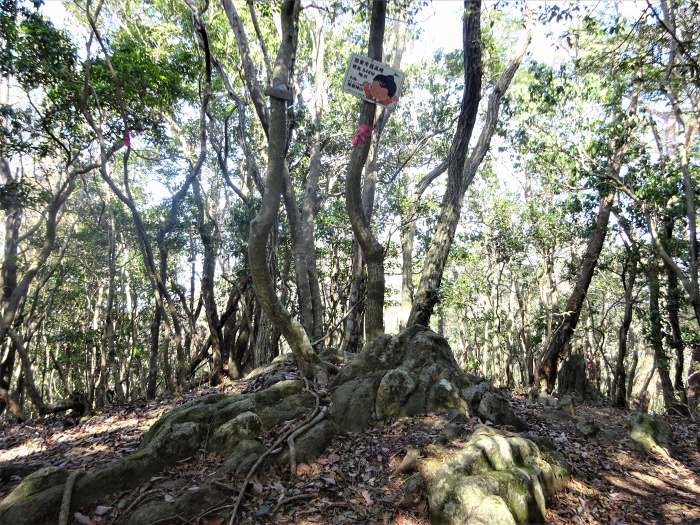 丹波篠山市/西光寺山･洞ヶ山～加東市/加東神山･大峯山を散策