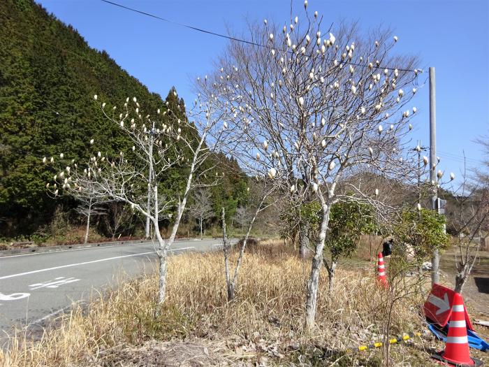 京都府船井郡京丹波町/兜山を散策