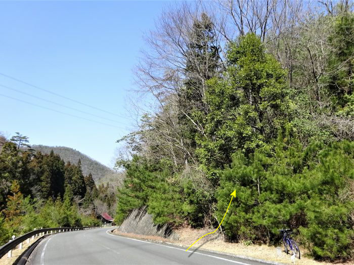 京都府船井郡京丹波町/兜山を散策