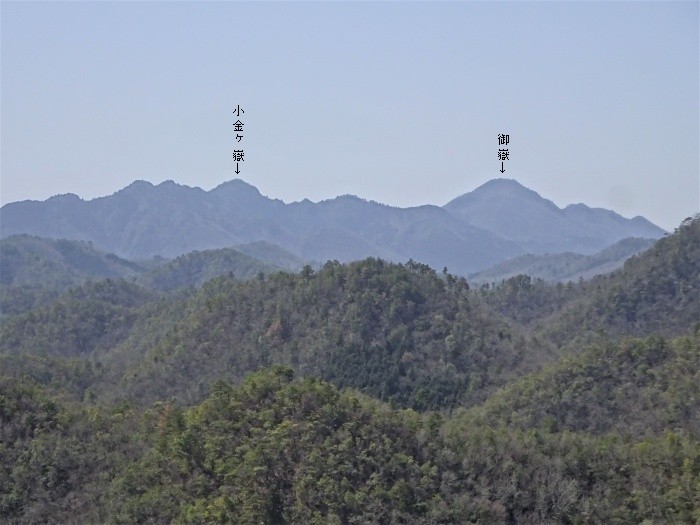 京都府船井郡京丹波町/兜山を散策