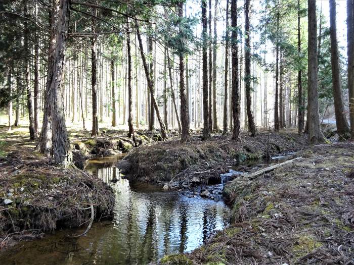 京都府船井郡京丹波町/兜山を散策