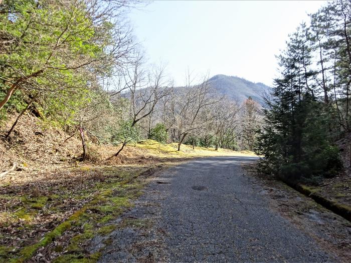 京都府船井郡京丹波町/兜山を散策