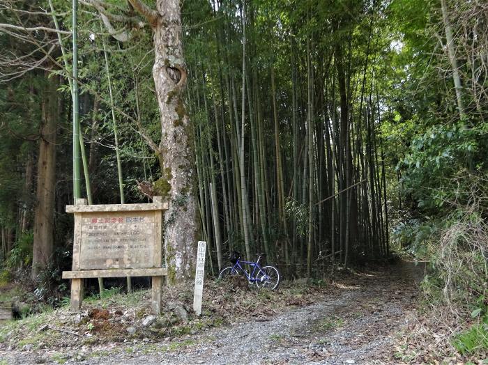 兵庫県丹波篠山市辻/四本杉～曽地中/弥十郎ヶ嶽を散策