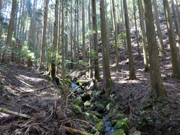 兵庫県丹波篠山市辻/四本杉～曽地中/弥十郎ヶ嶽を散策