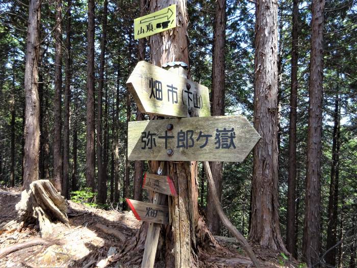 兵庫県丹波篠山市辻/四本杉～曽地中/弥十郎ヶ嶽を散策