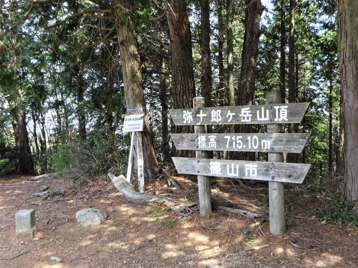 兵庫県丹波篠山市辻/四本杉～曽地中/弥十郎ヶ嶽を散策