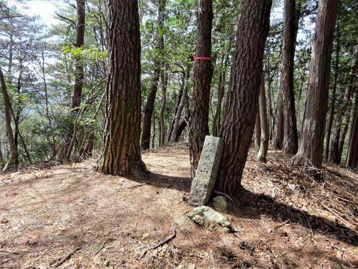 兵庫県丹波篠山市辻/四本杉～曽地中/弥十郎ヶ嶽を散策