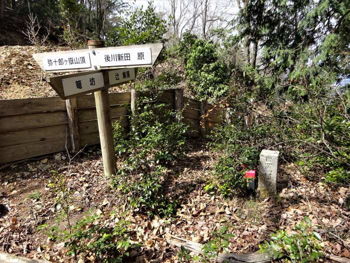 兵庫県丹波篠山市辻/四本杉～曽地中/弥十郎ヶ嶽を散策