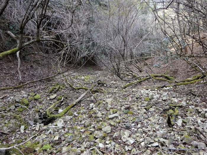 兵庫県丹波篠山市辻/四本杉～曽地中/弥十郎ヶ嶽を散策