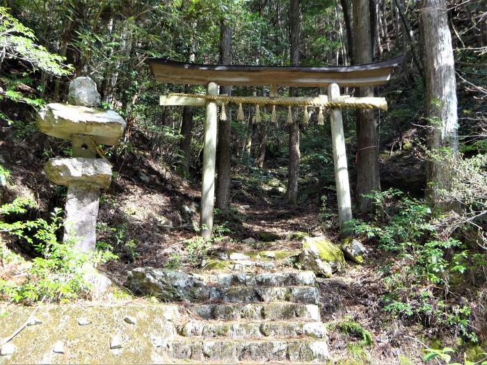 兵庫県丹波篠山市辻/四本杉～曽地中/弥十郎ヶ嶽を散策