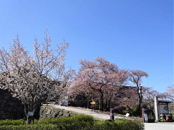 兵庫県三田市小柿/奥山を散策