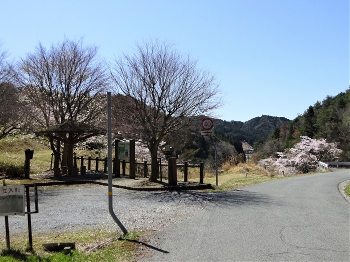 兵庫県三田市小柿/奥山を散策