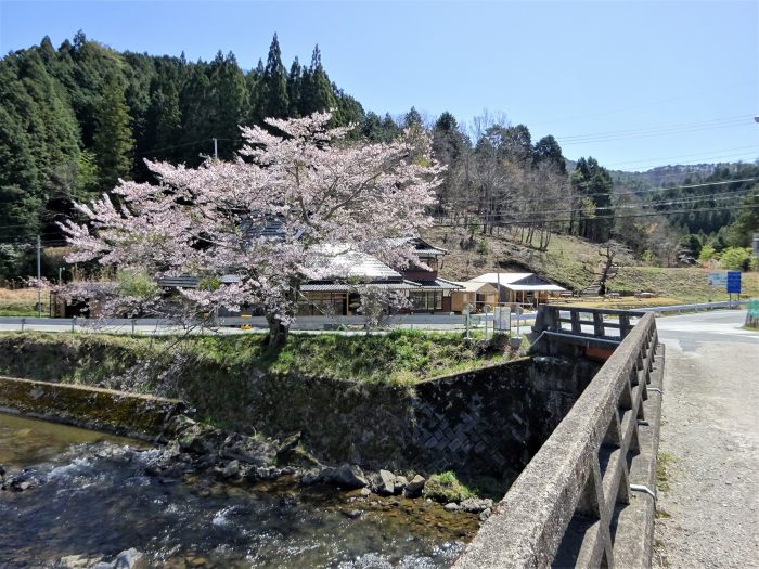 兵庫県三田市小柿/奥山を散策