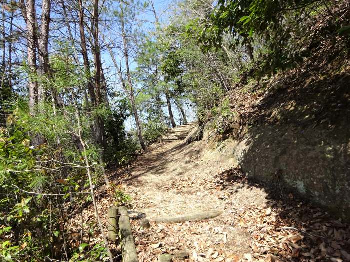 兵庫県三田市小柿/奥山を散策