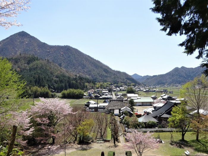 兵庫県三田市小柿/奥山を散策