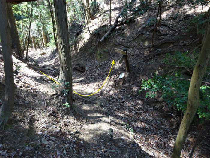 兵庫県三田市小柿/奥山を散策