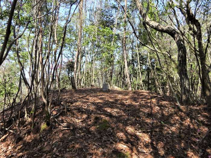 兵庫県三田市小柿/奥山を散策