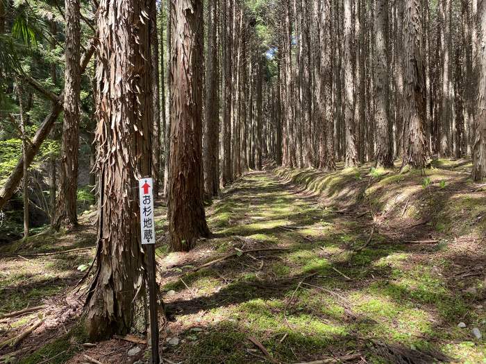 兵庫県丹波市青垣町小稗/ダンノへバイク走り