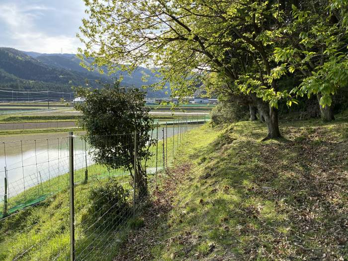 兵庫県丹波市青垣町小稗/ダンノへバイク走り