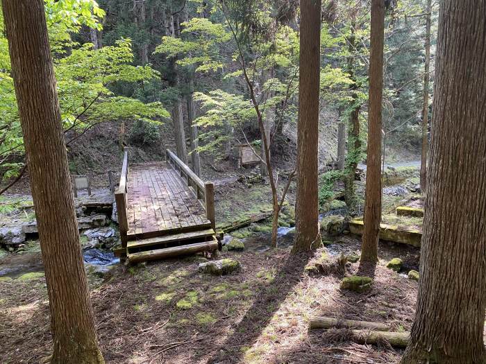 京都府京都市左京区花脊/花脊の三本杉～知世路谷山へバイク走り