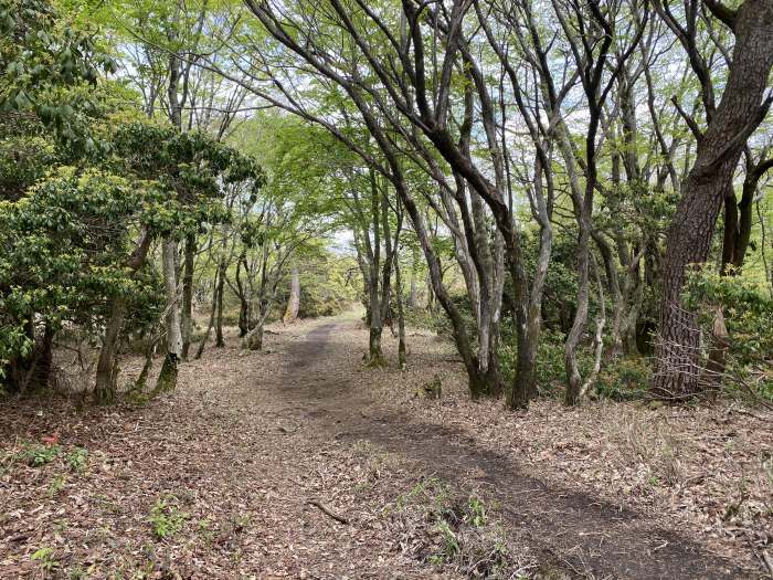 兵庫県朝来市生野町栃原/段ヶ峰～フトウガ峰へバイク走り