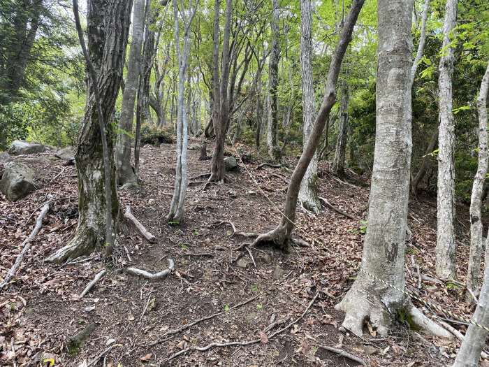 兵庫県朝来市生野町栃原/段ヶ峰～フトウガ峰へバイク走り