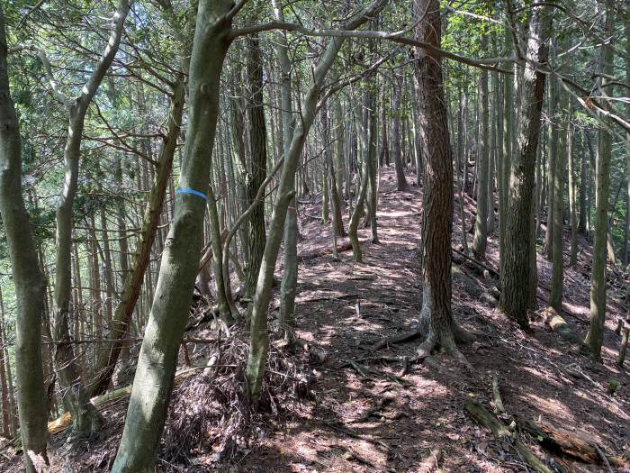 兵庫県丹波市氷上町井中/安全山～水山へバイク走り