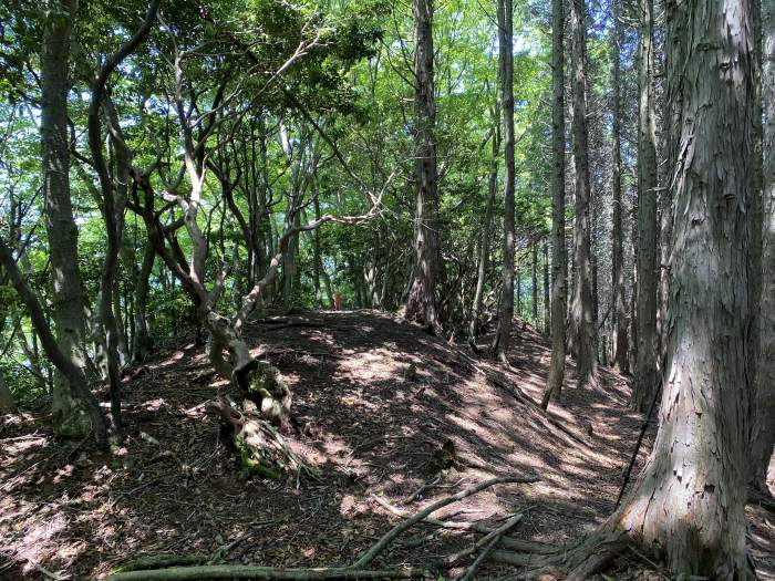 兵庫県丹波市氷上町井中/安全山～水山へバイク走り