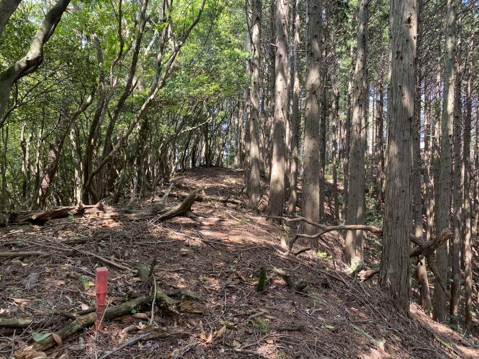 兵庫県丹波市氷上町井中/安全山～水山へバイク走り