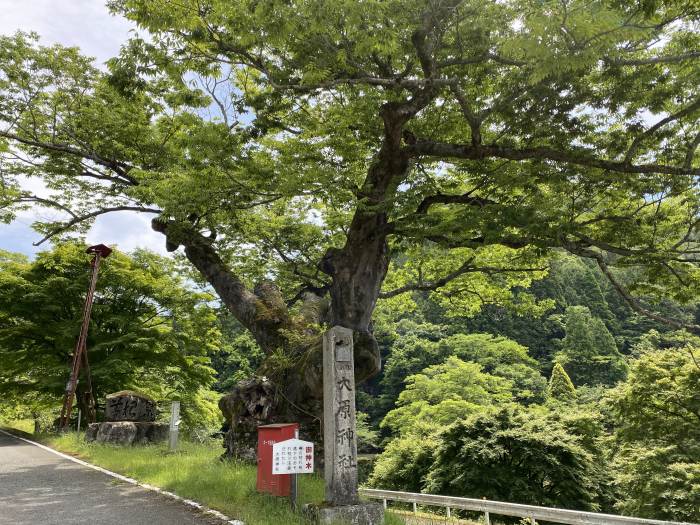 福井県大飯郡おおい町/八ヶ峰～頭巾山へバイク走り