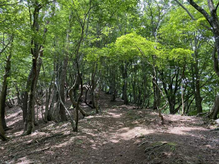 福井県大飯郡おおい町/八ヶ峰～頭巾山へバイク走り