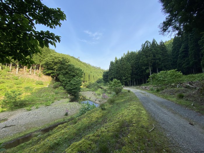 福井県大飯郡おおい町/八ヶ峰～頭巾山へバイク走り