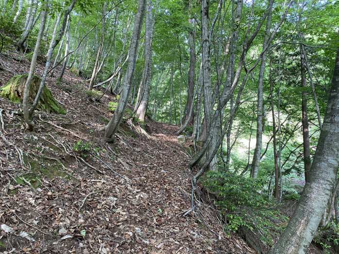 福井県大飯郡おおい町/八ヶ峰～頭巾山へバイク走り