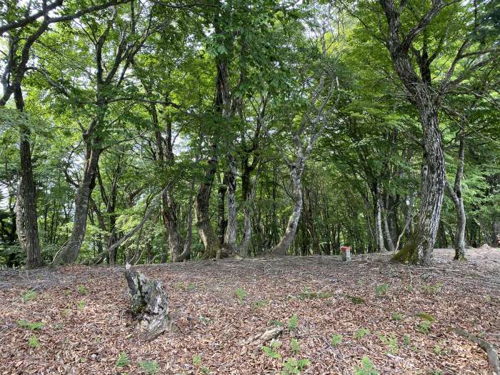 福井県大飯郡おおい町/八ヶ峰～頭巾山へバイク走り