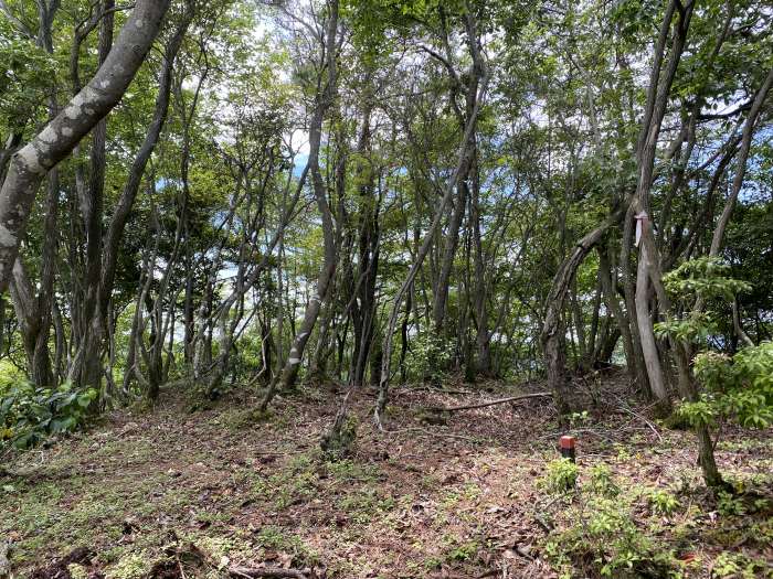 兵庫県多可郡多可町/三組尾・大海山・小野山へバイク走り