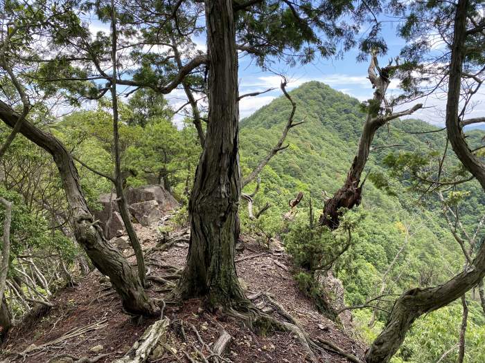 兵庫県多可郡多可町/三組尾・大海山・小野山へバイク走り