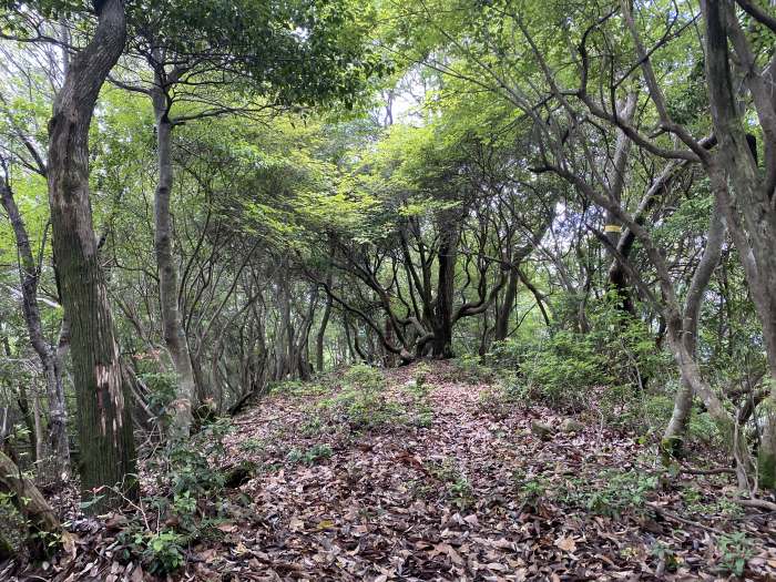 兵庫県多可郡多可町/三組尾・大海山・小野山へバイク走り