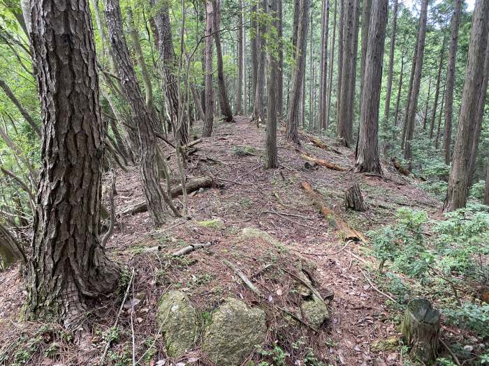 兵庫県多可郡多可町/三組尾・大海山・小野山へバイク走り